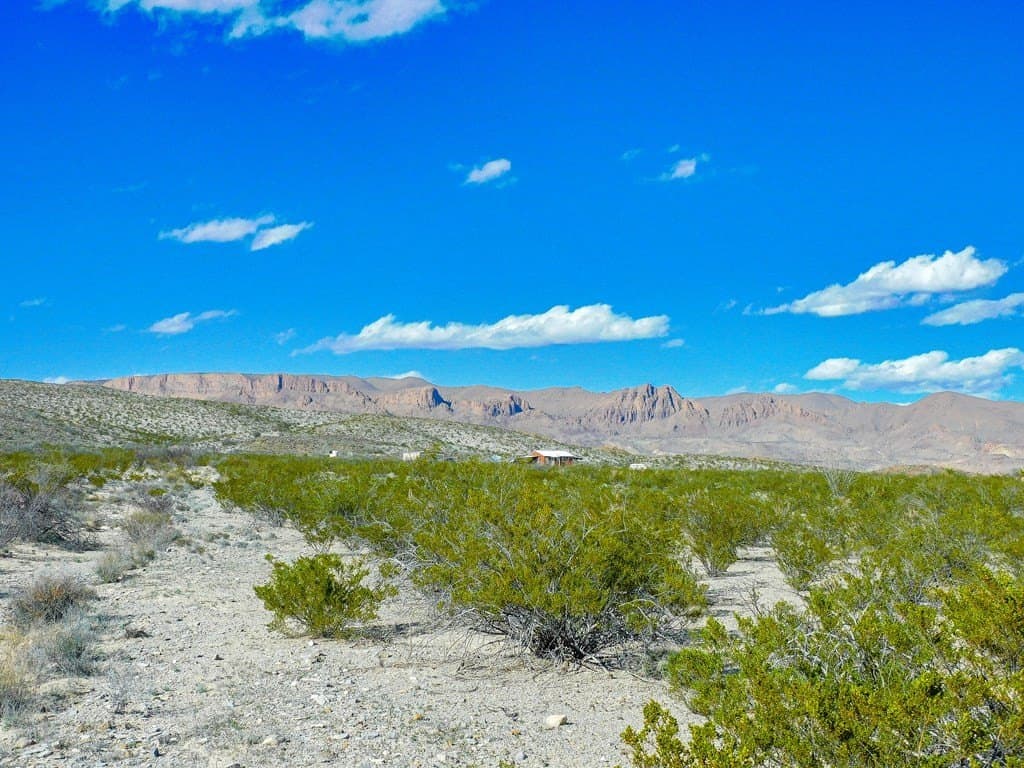 20 acres in Brewster County - photo 8