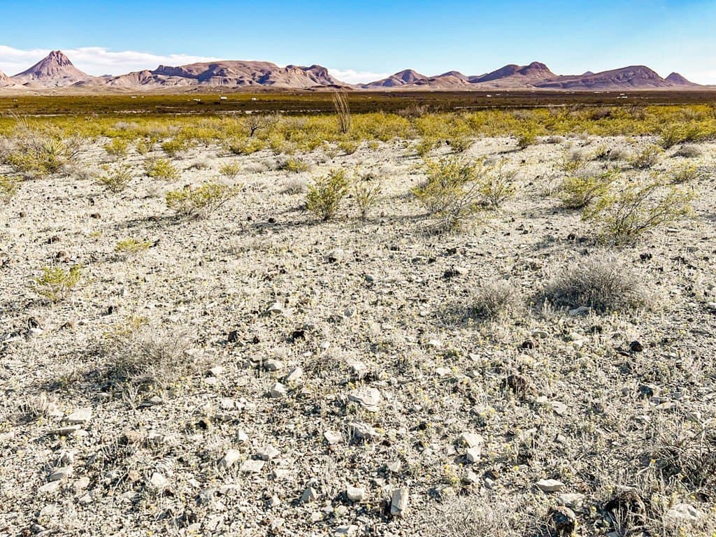 20 acres in Brewster County - photo 46