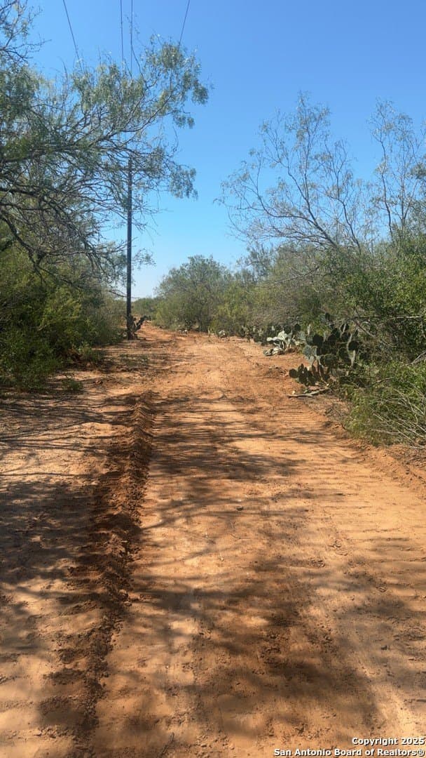 100 acres in Duval County - photo 17