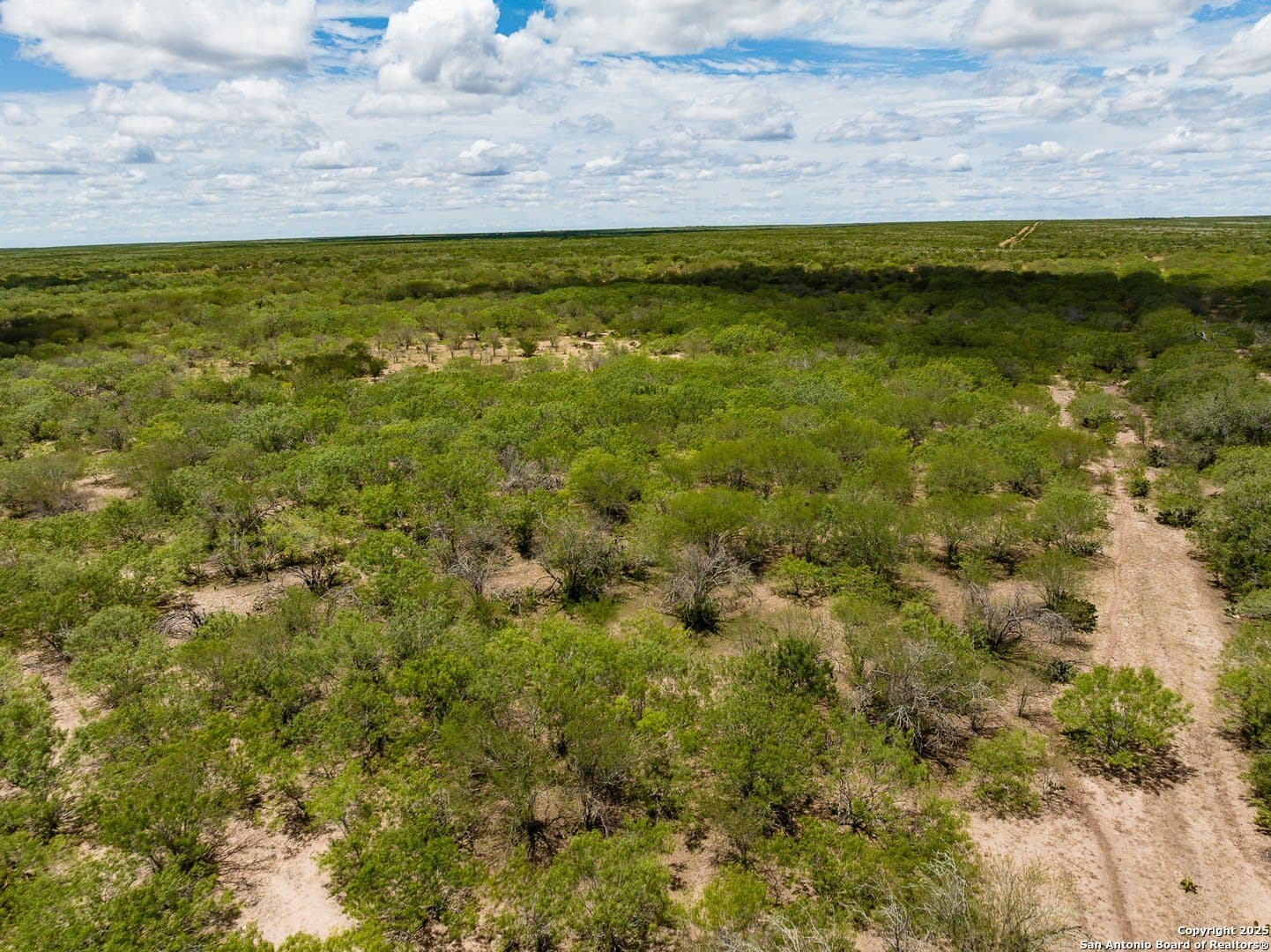 100 acres in Duval County - photo 33