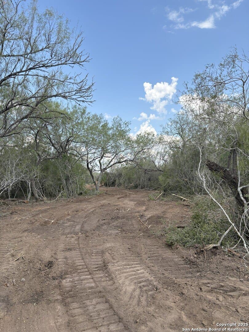 100 acres in Duval County - photo 10