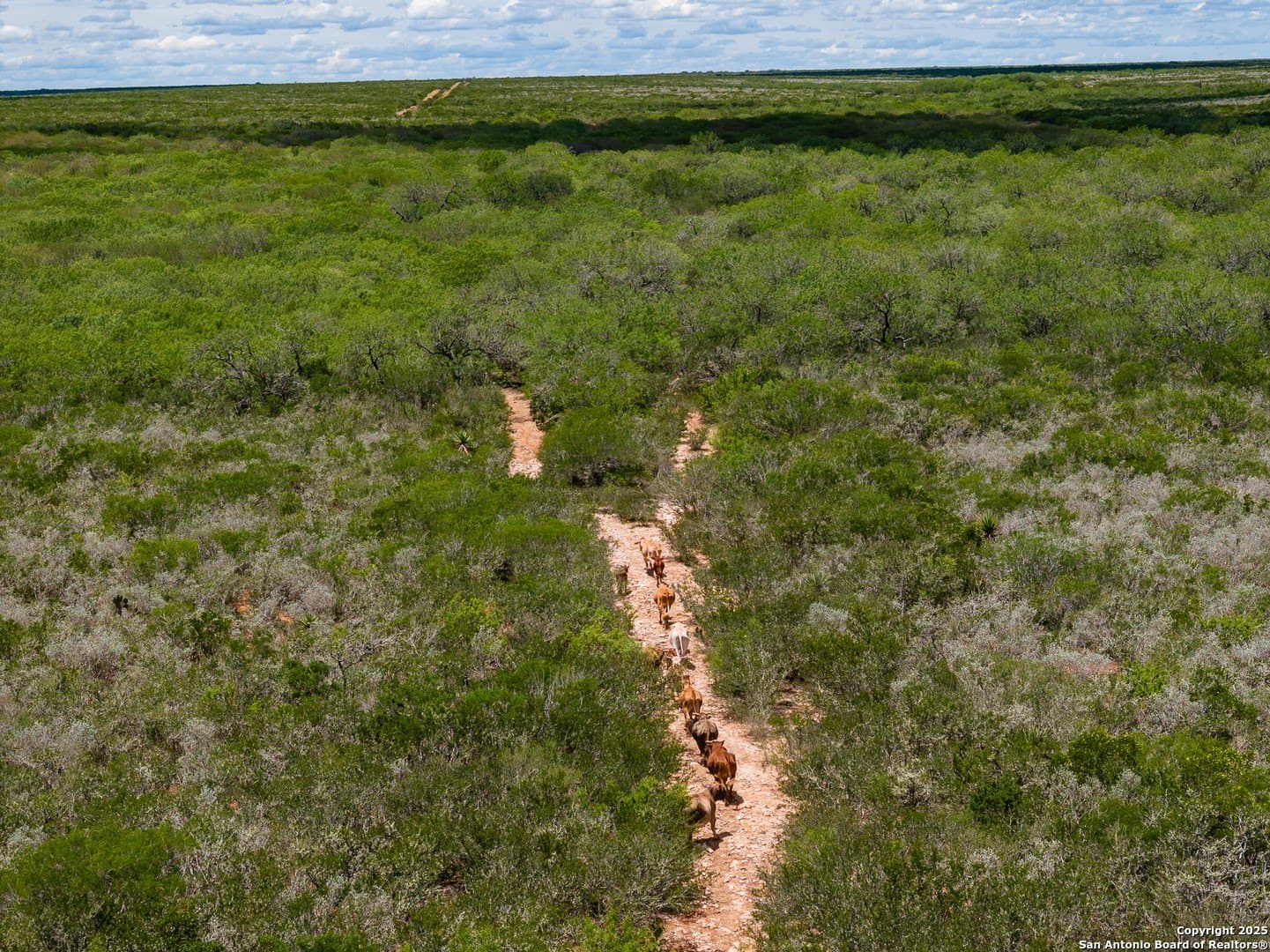 100 acres in Duval County - photo 13