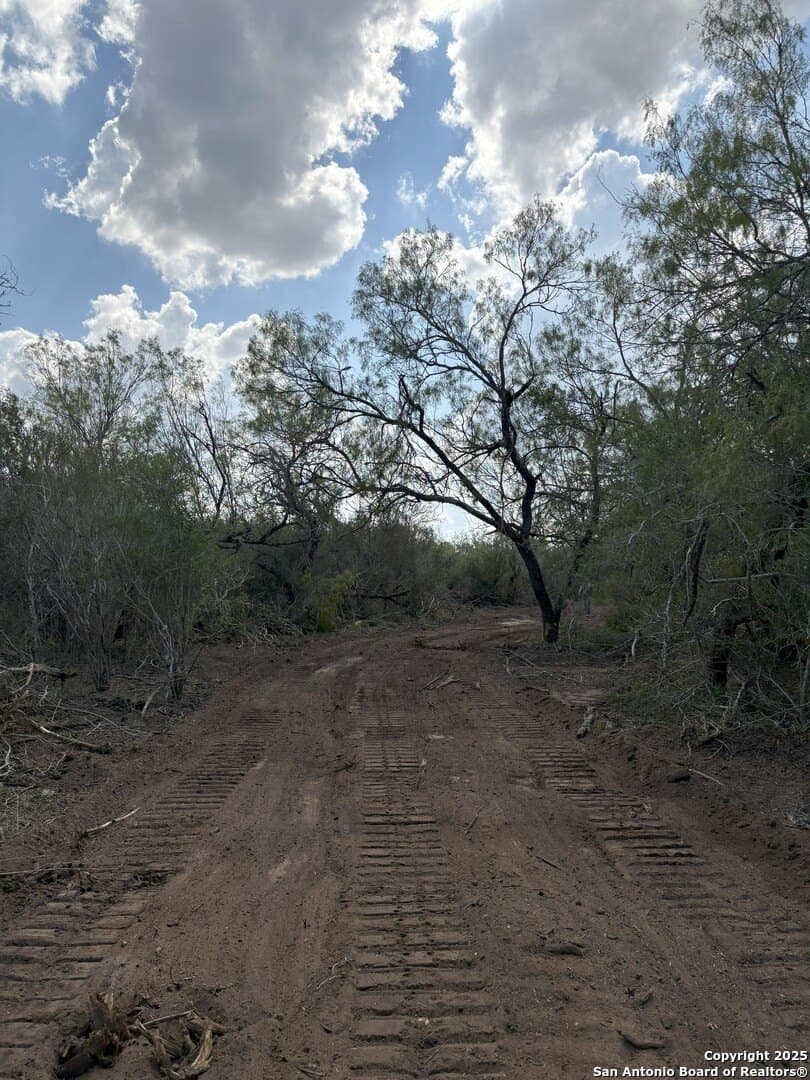 100 acres in Duval County - photo 12