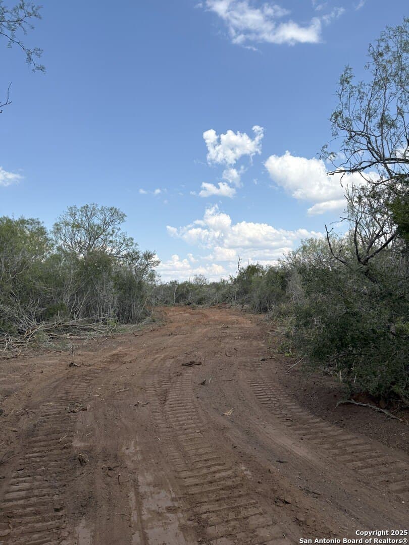 100 acres in Duval County - photo 6