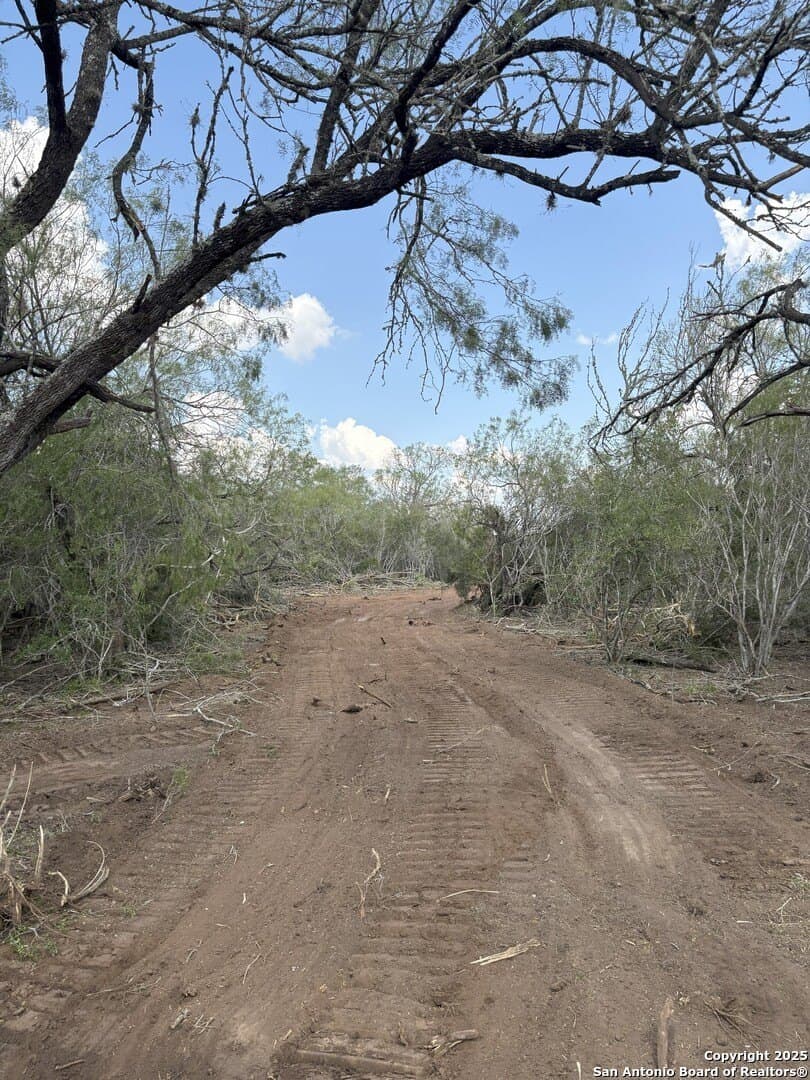 100 acres in Duval County - photo 2