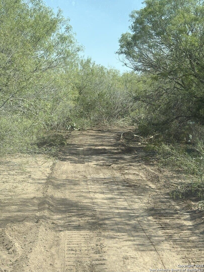 100 acres in Duval County - photo 36