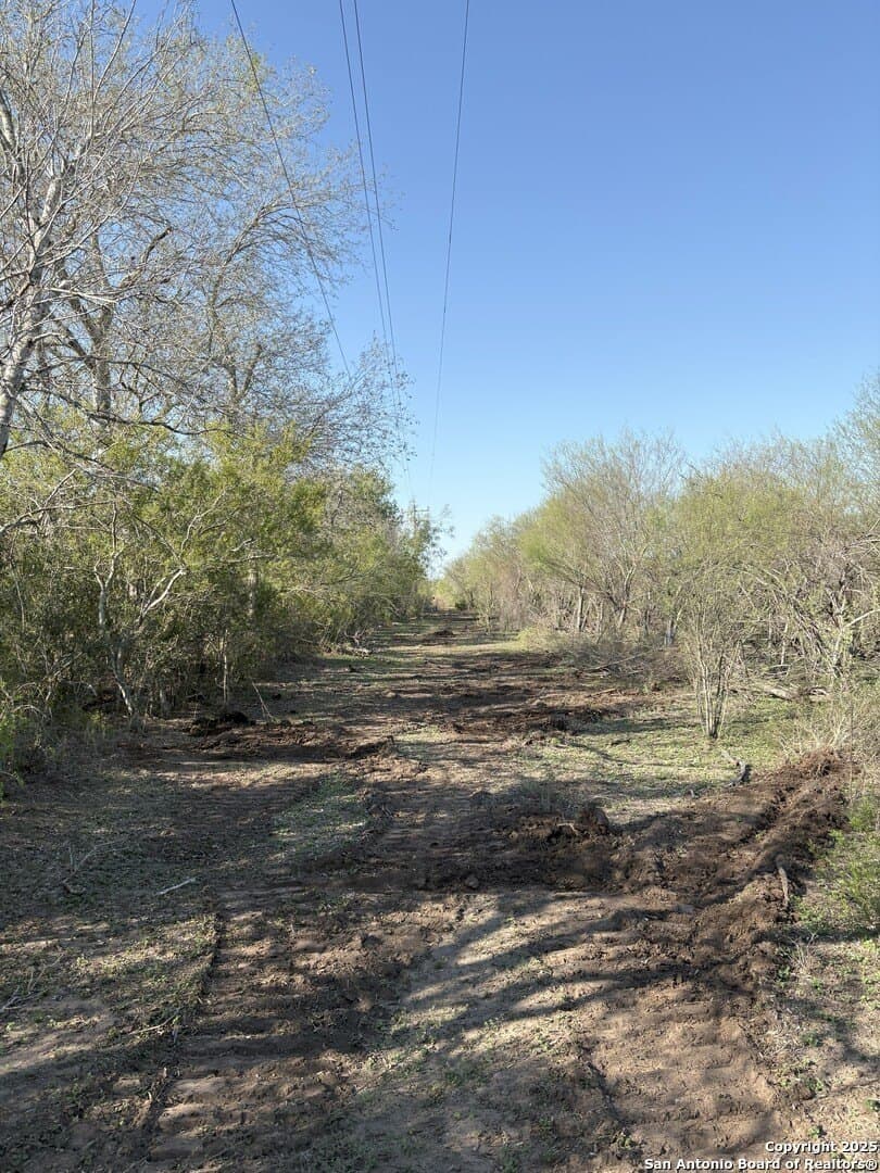 100 acres in Duval County - photo 28