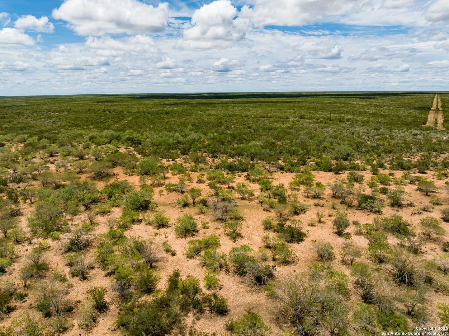 100 acres in Duval County - photo 39