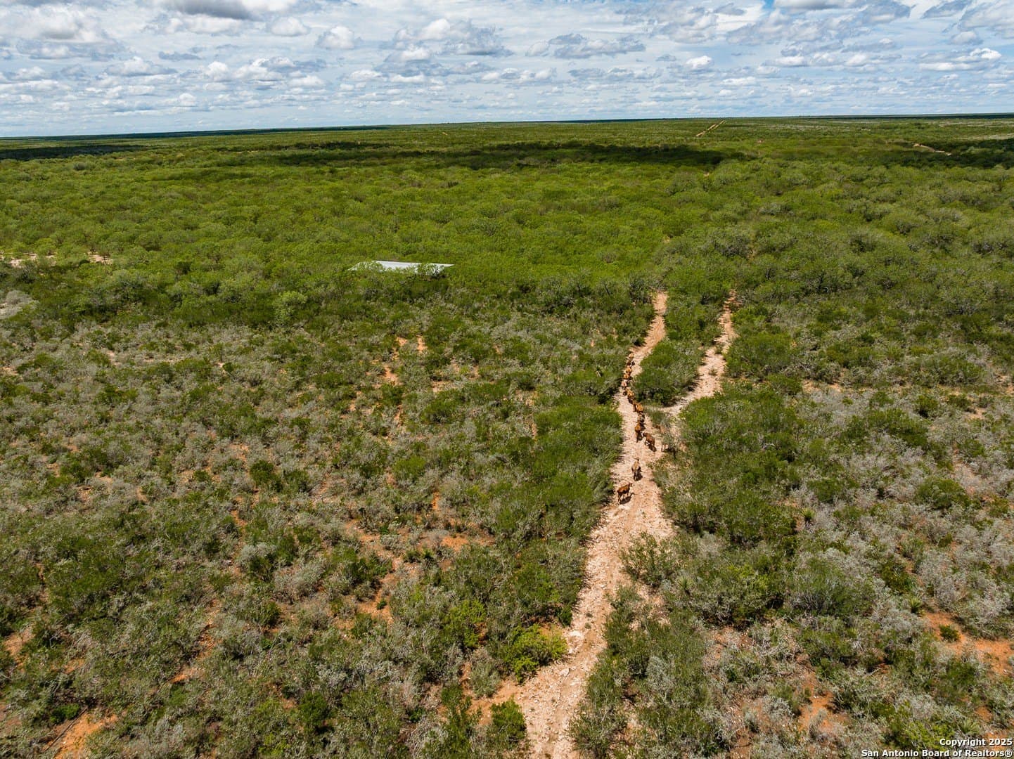 100 acres in Duval County - photo 21