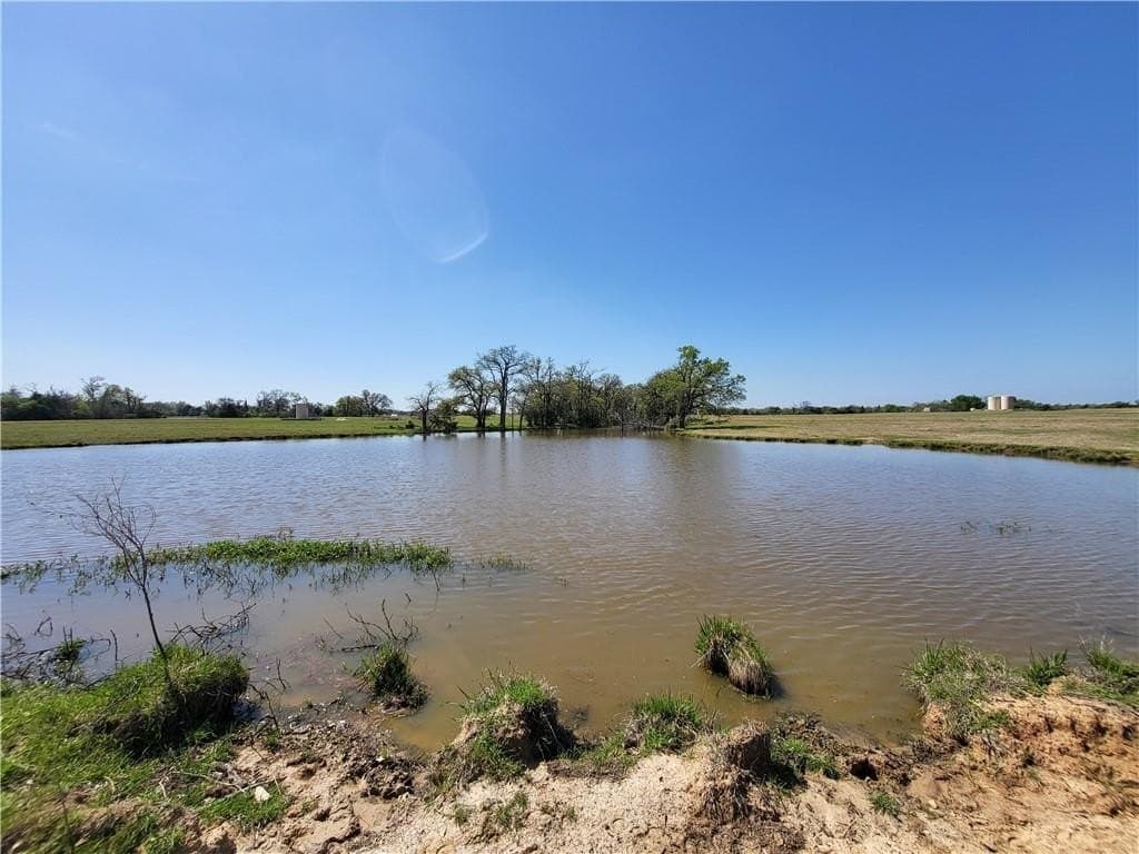 93.4 acres in Limestone County - photo 17