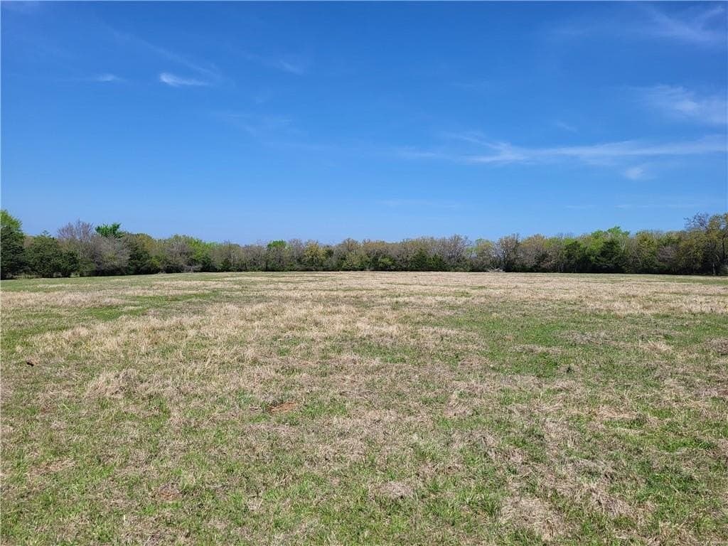 93.4 acres in Limestone County - photo 20