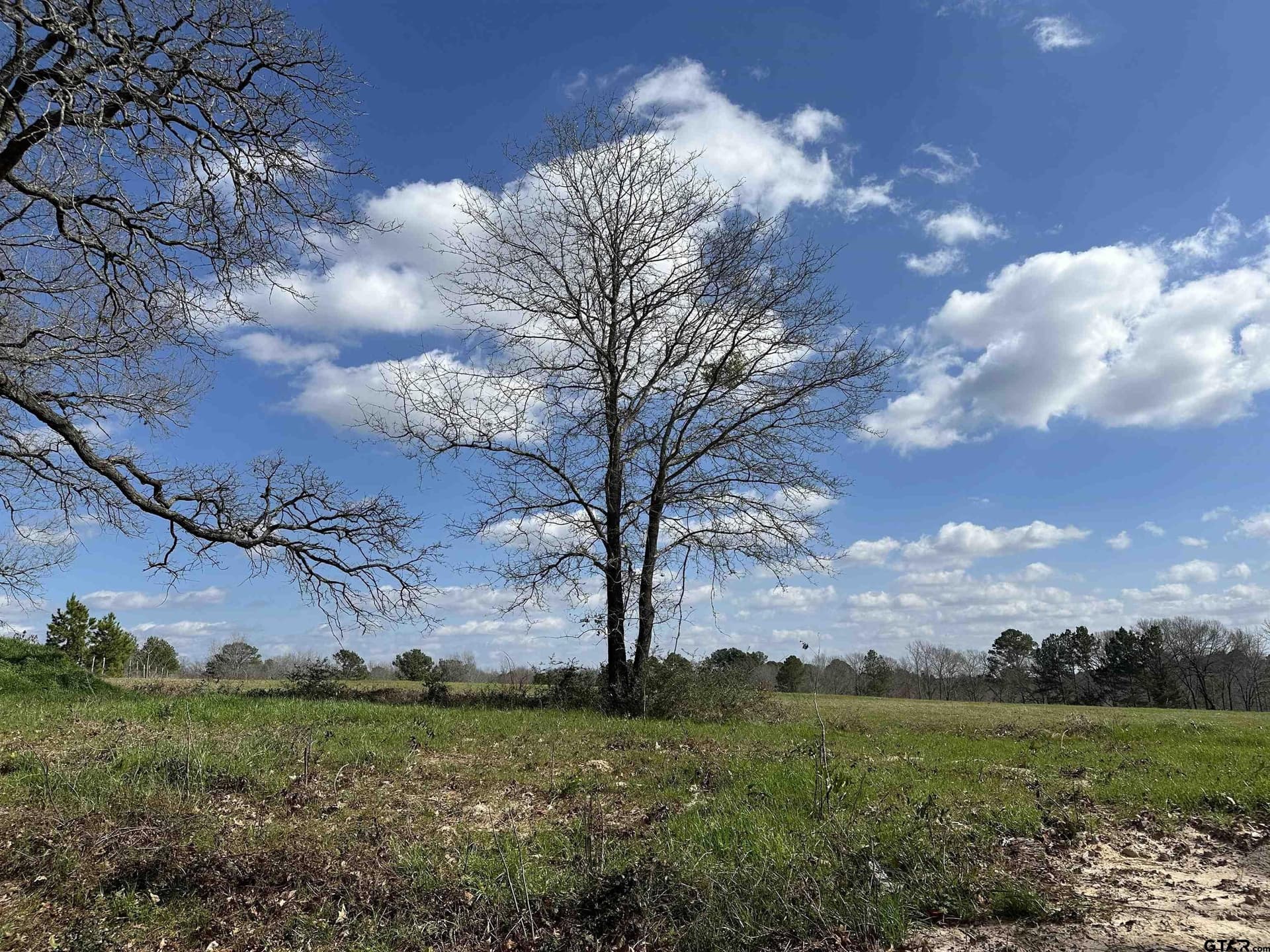 1 acres in Rusk County - photo 4