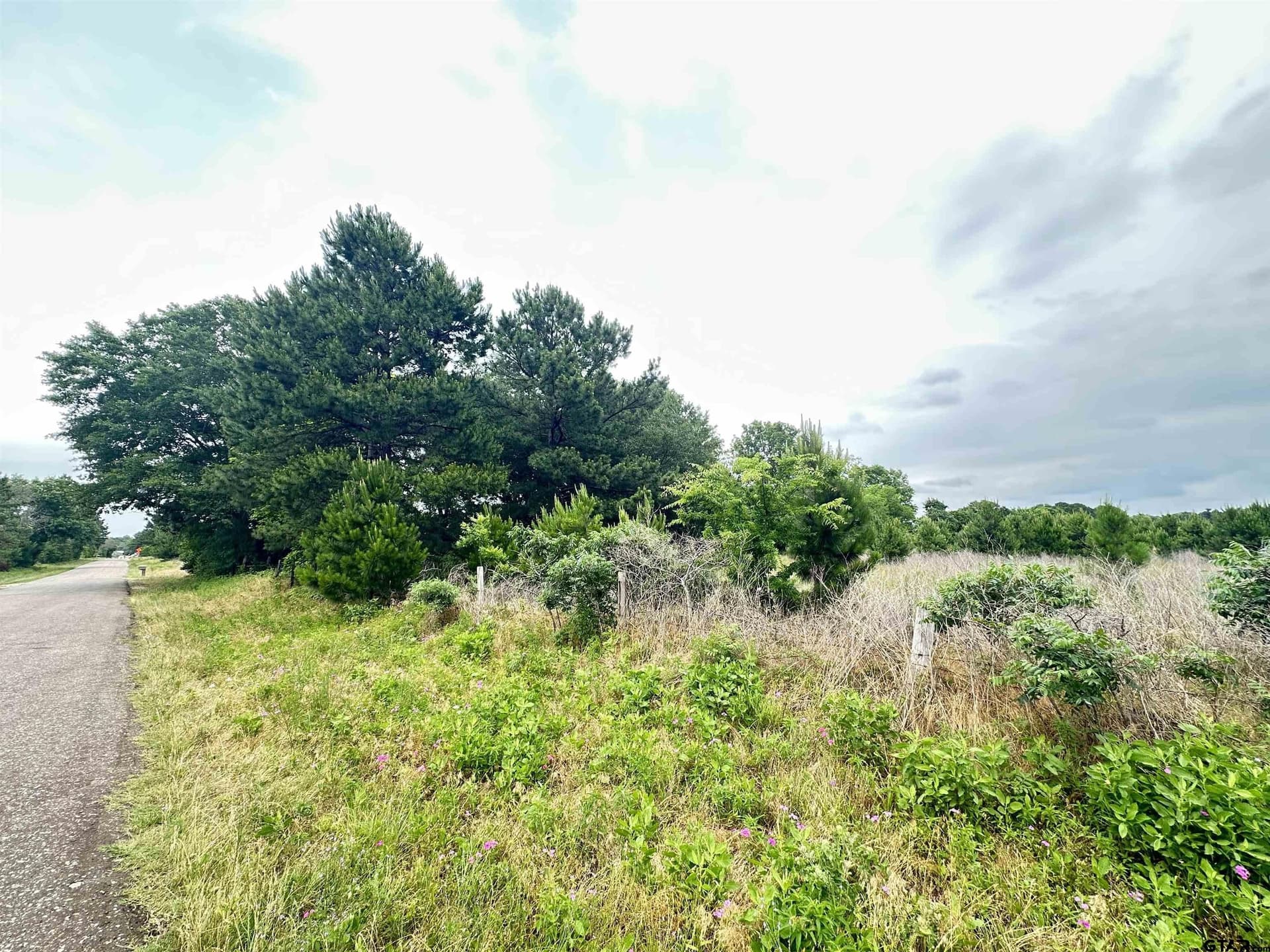 18.48 acres in Cherokee County - photo 2