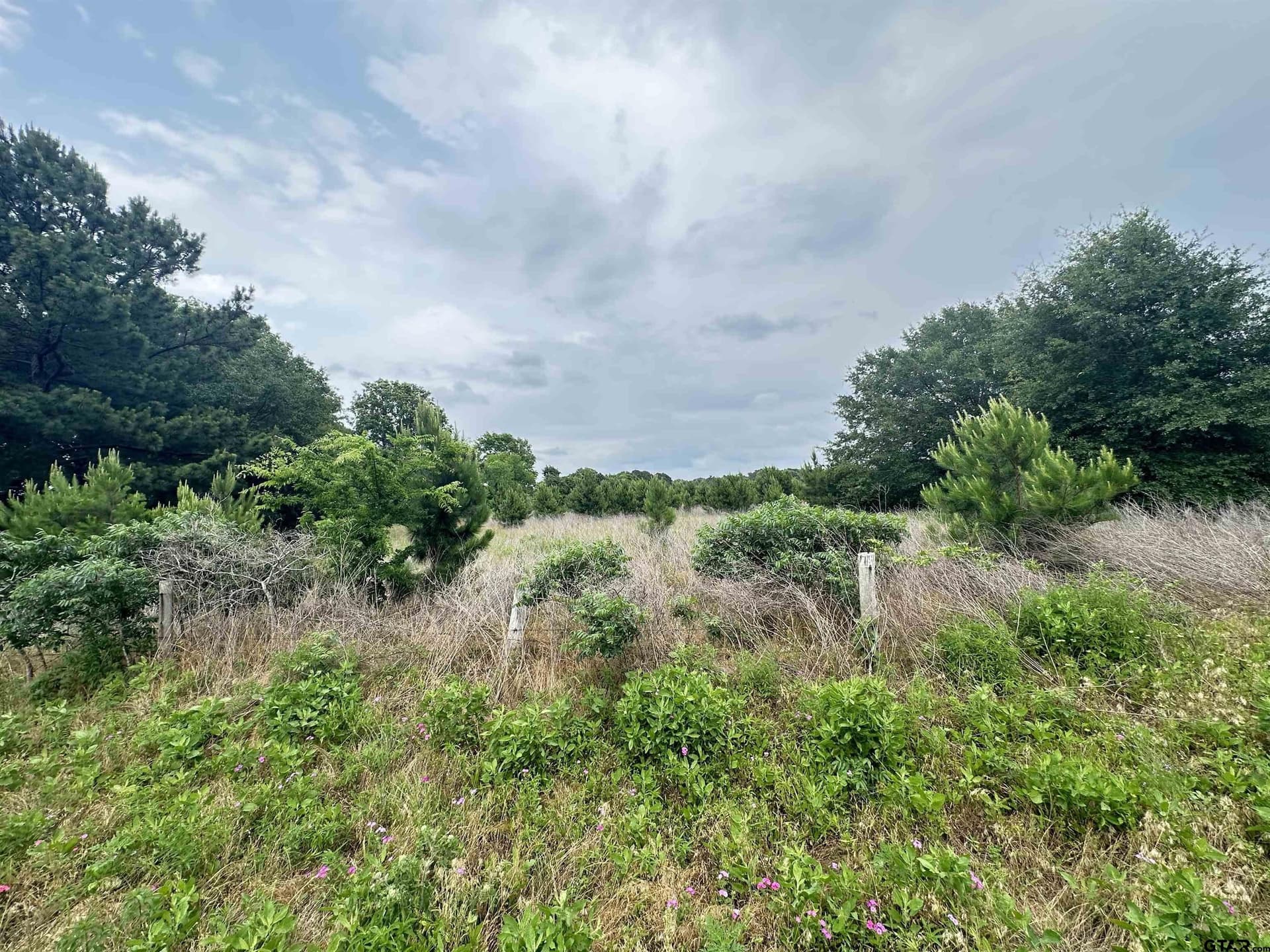 18.48 acres in Cherokee County - photo 4