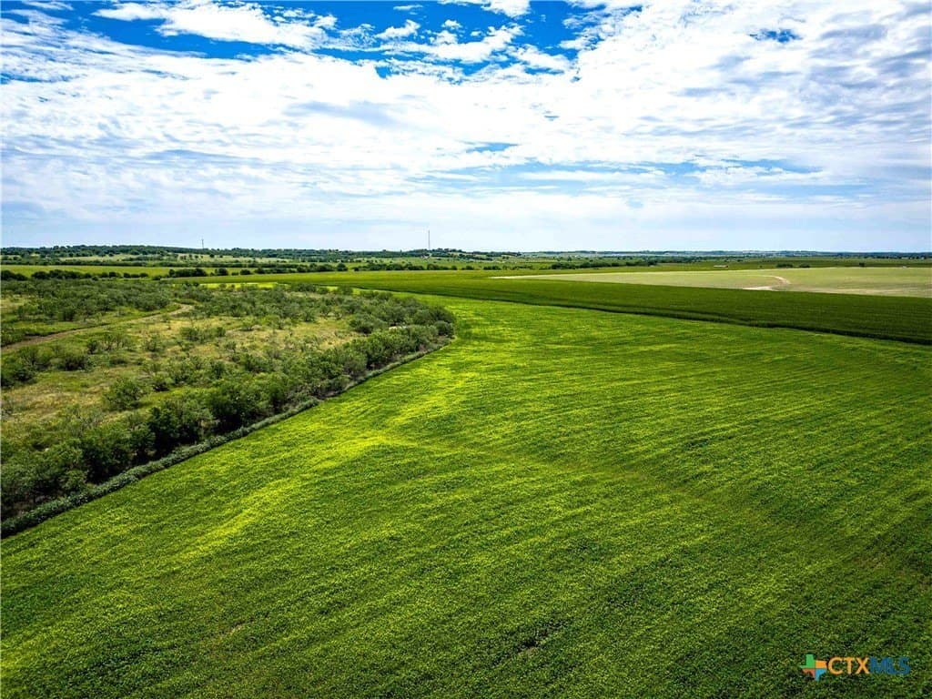 46.5 acres in McLennan County - photo 15