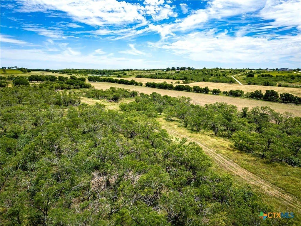 46.5 acres in McLennan County - photo 29
