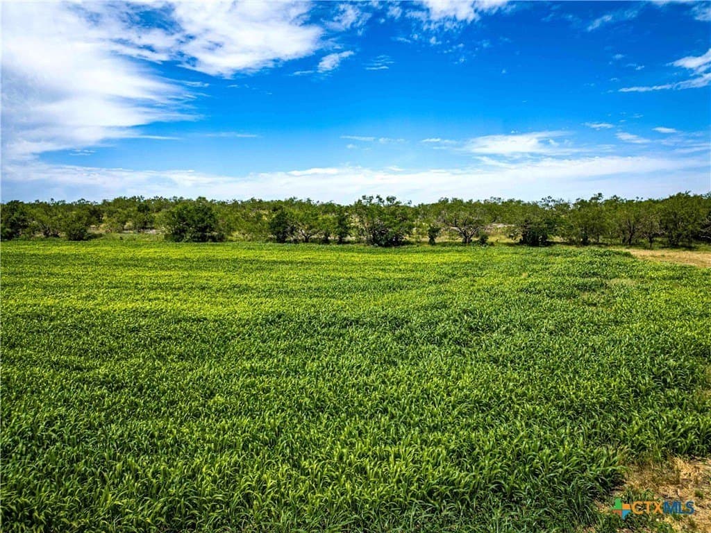 46.5 acres in McLennan County - photo 18