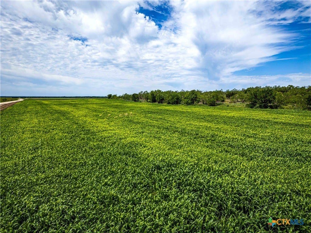 46.5 acres in McLennan County - photo 17