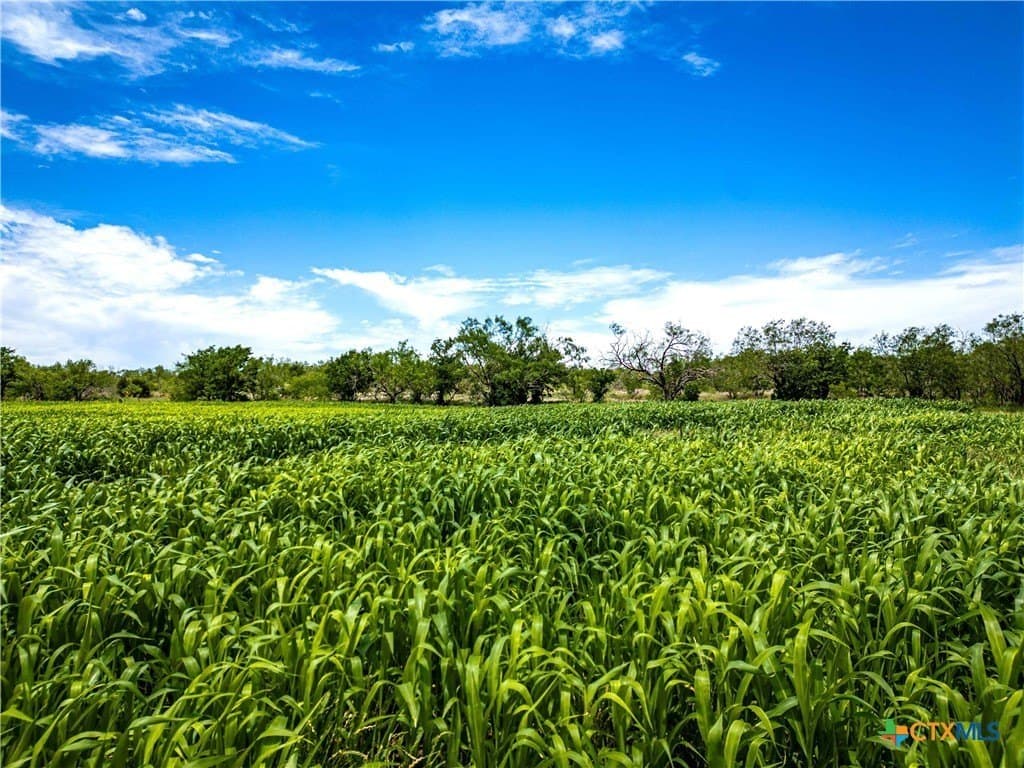 46.5 acres in McLennan County - photo 19