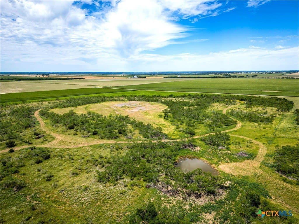 46.5 acres in McLennan County - photo 9