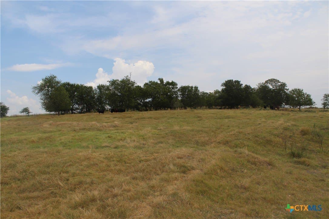 220 acres in Williamson County - photo 3