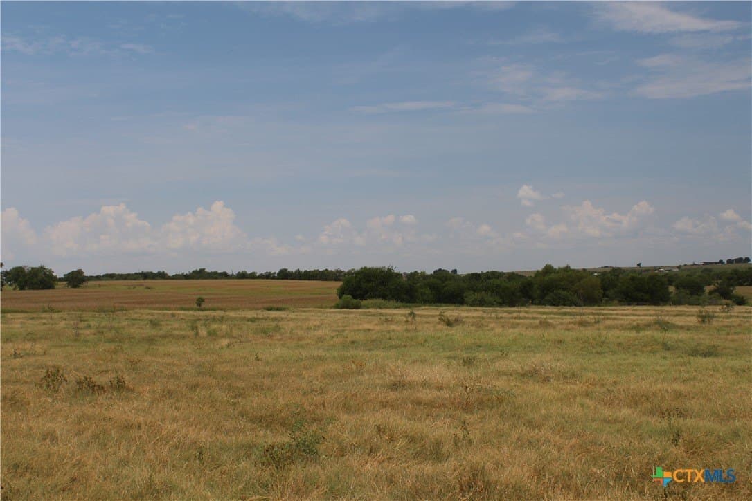 220 acres in Williamson County - photo 6