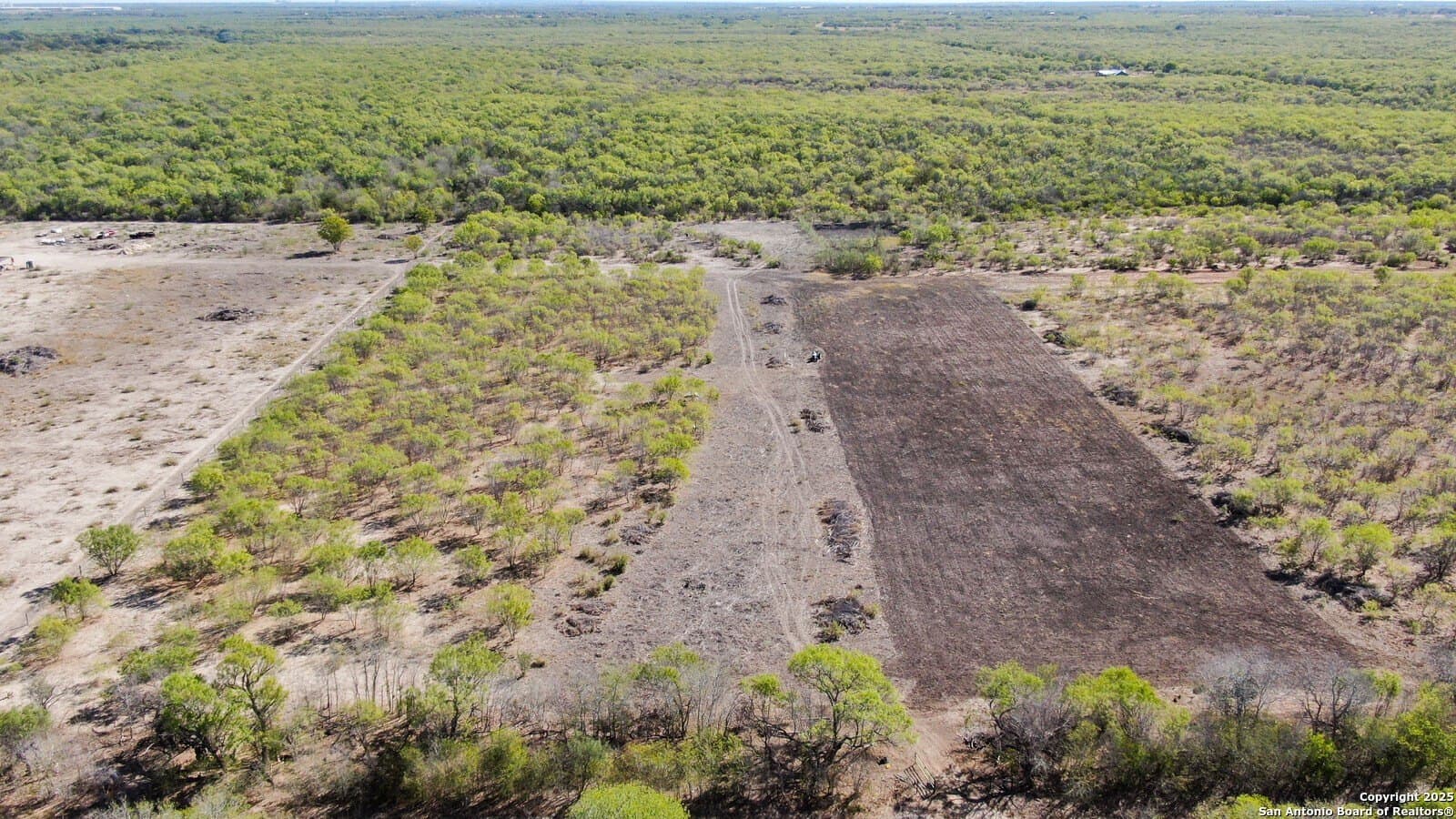 10.1 acres in Bexar County - photo 5