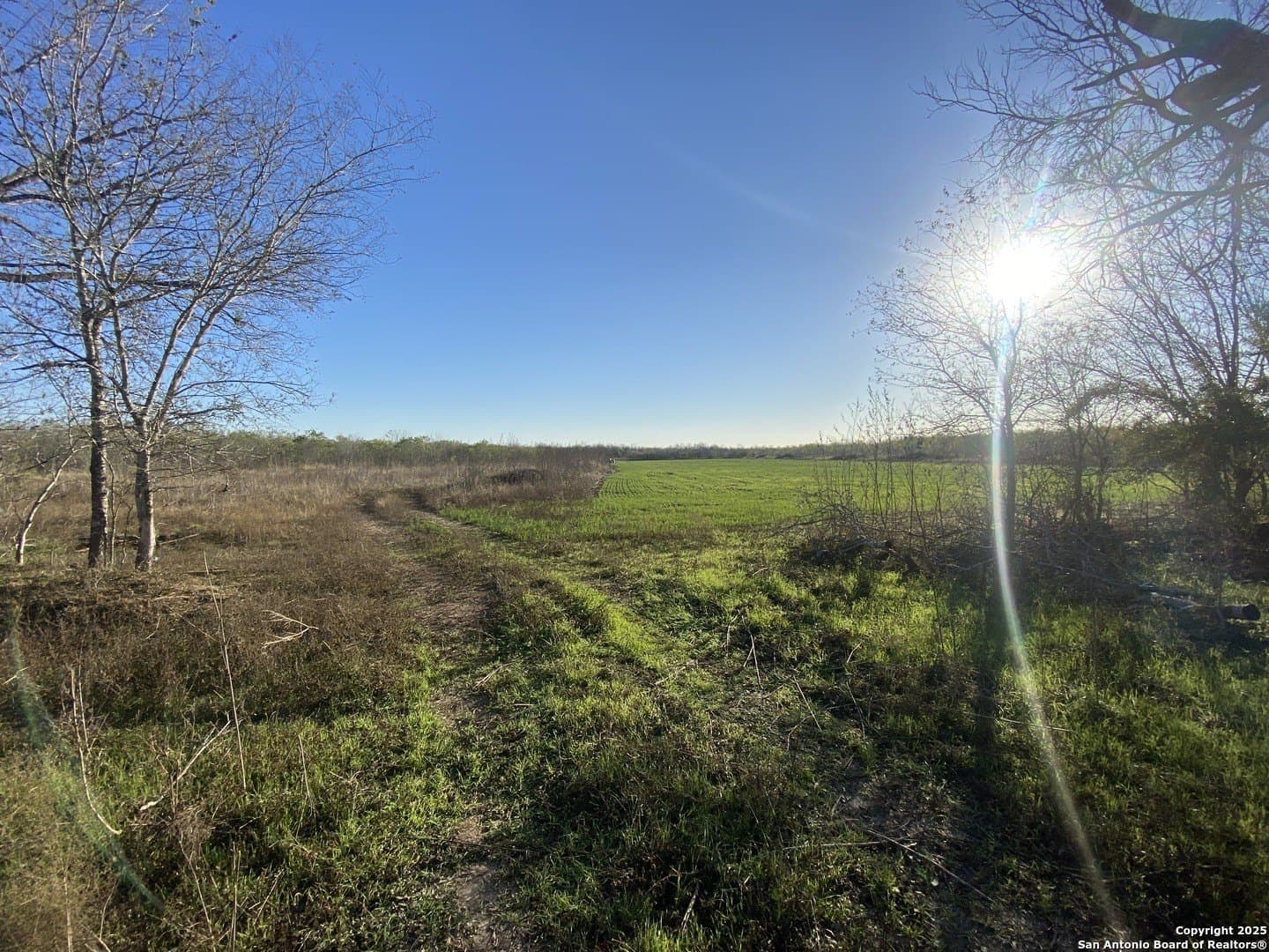 10.1 acres in Bexar County - photo 14