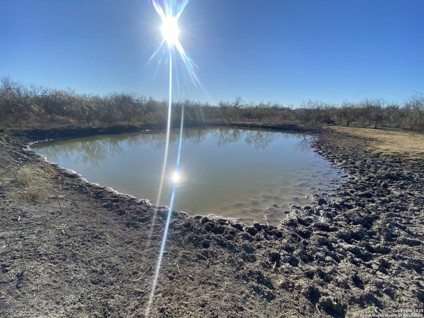 10.1 acres in Bexar County - photo 15