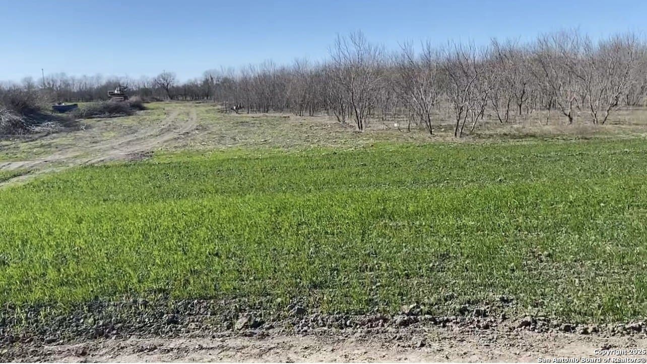 10.1 acres in Bexar County - photo 20