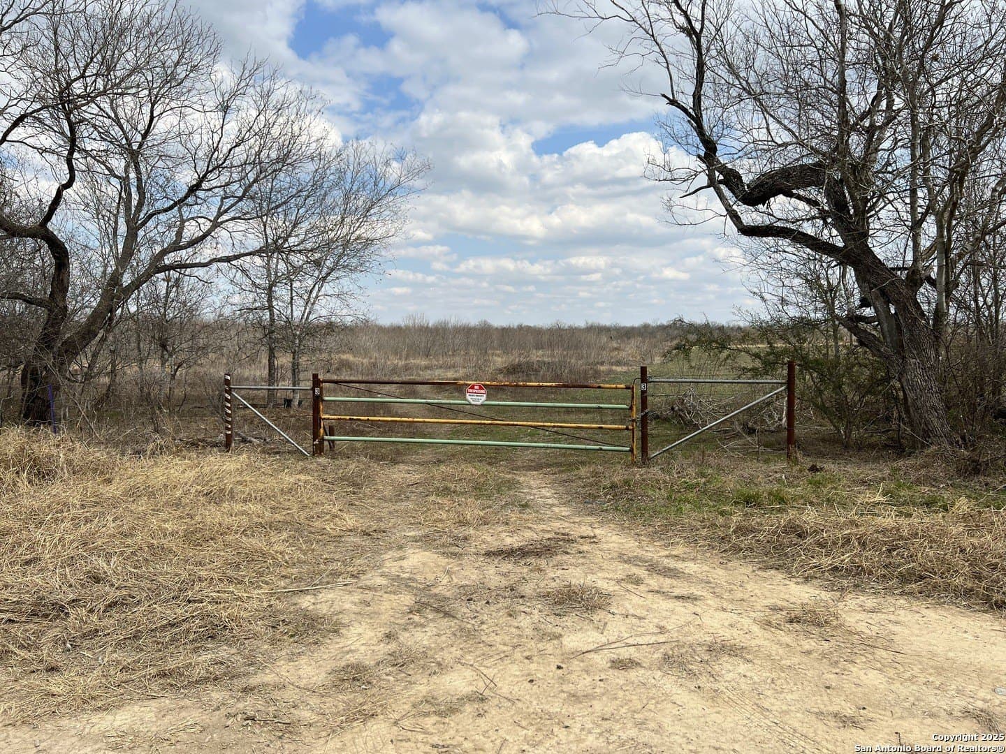 10.1 acres in Bexar County - photo 16