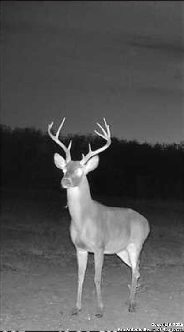 10.1 acres in Bexar County - photo 24