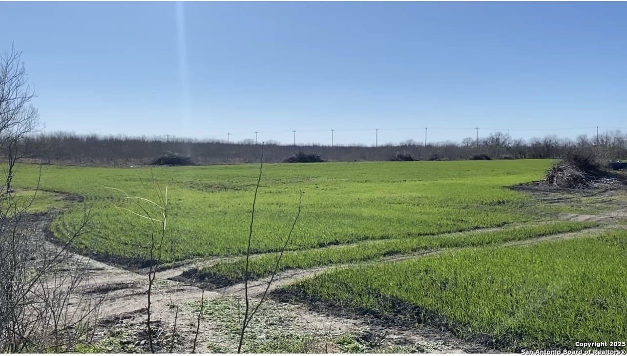 10.1 acres in Bexar County - photo 19