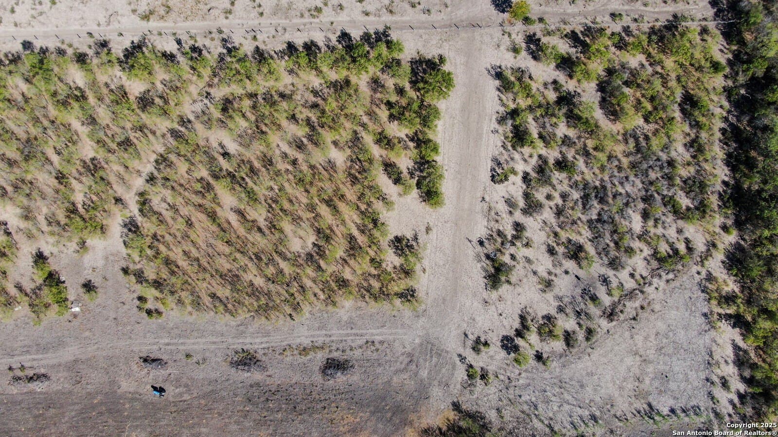 10.1 acres in Bexar County - photo 12