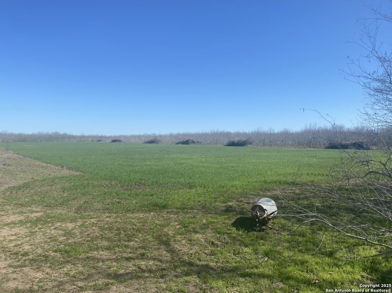 10.1 acres in Bexar County - photo 21