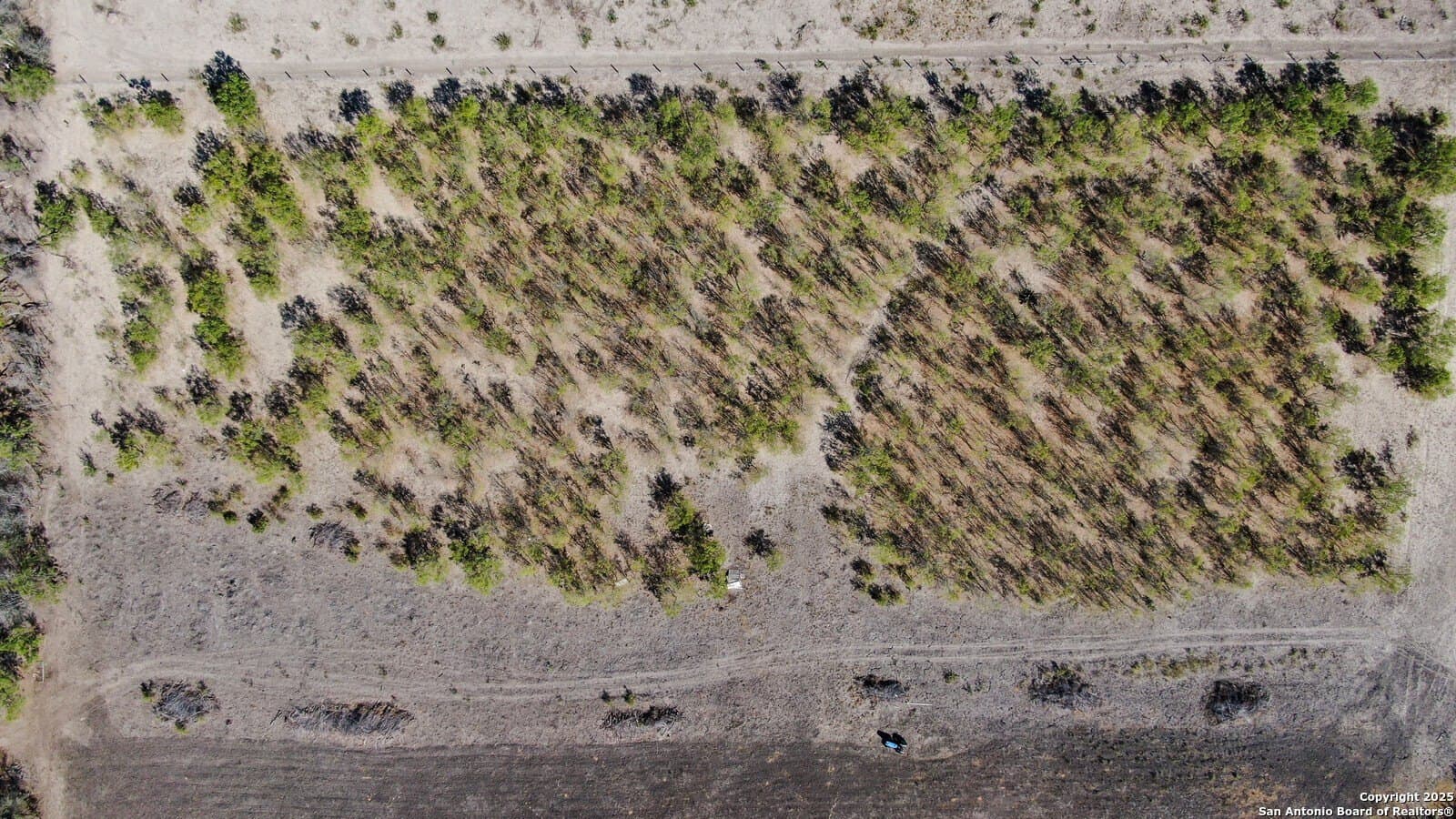 10.1 acres in Bexar County - photo 11