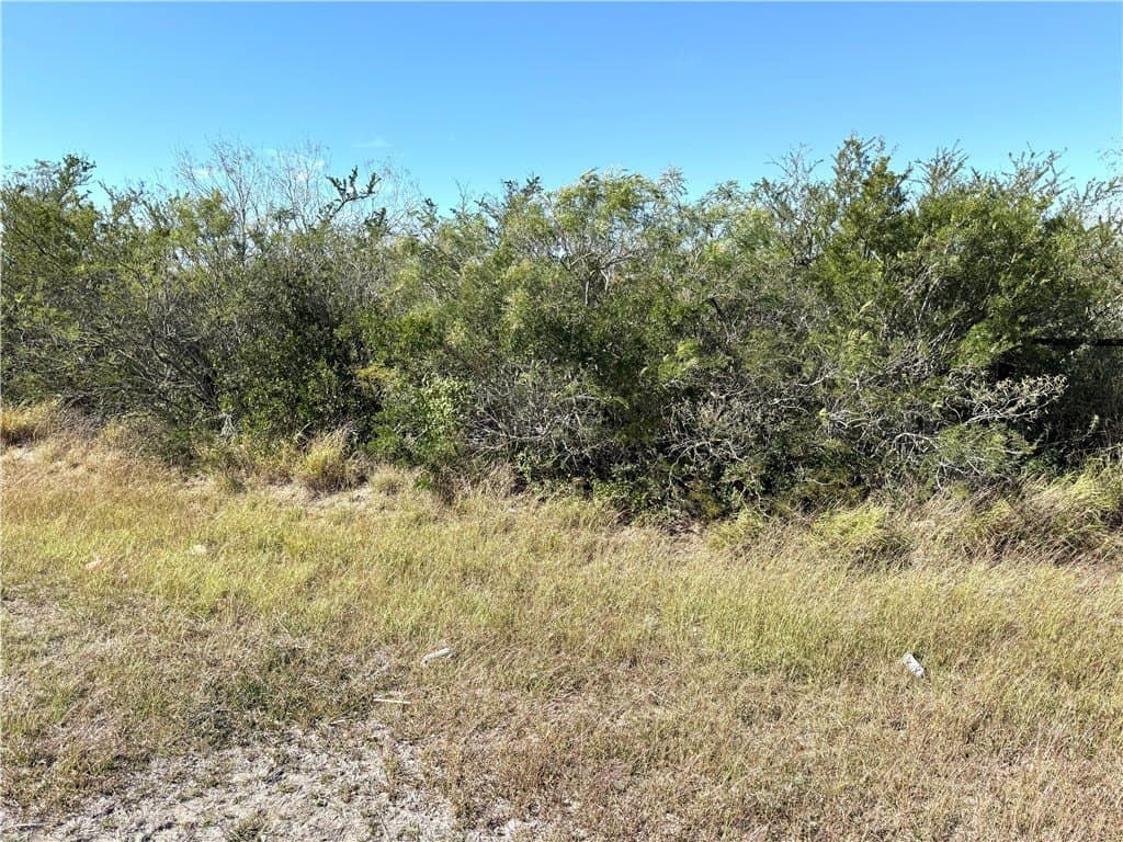 2647 Highway 359 lot: 0
