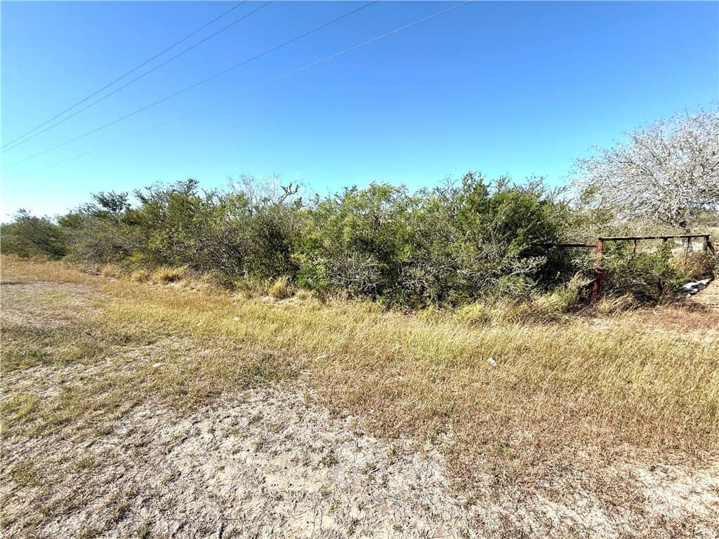 135.48 acres in Duval County - photo 6