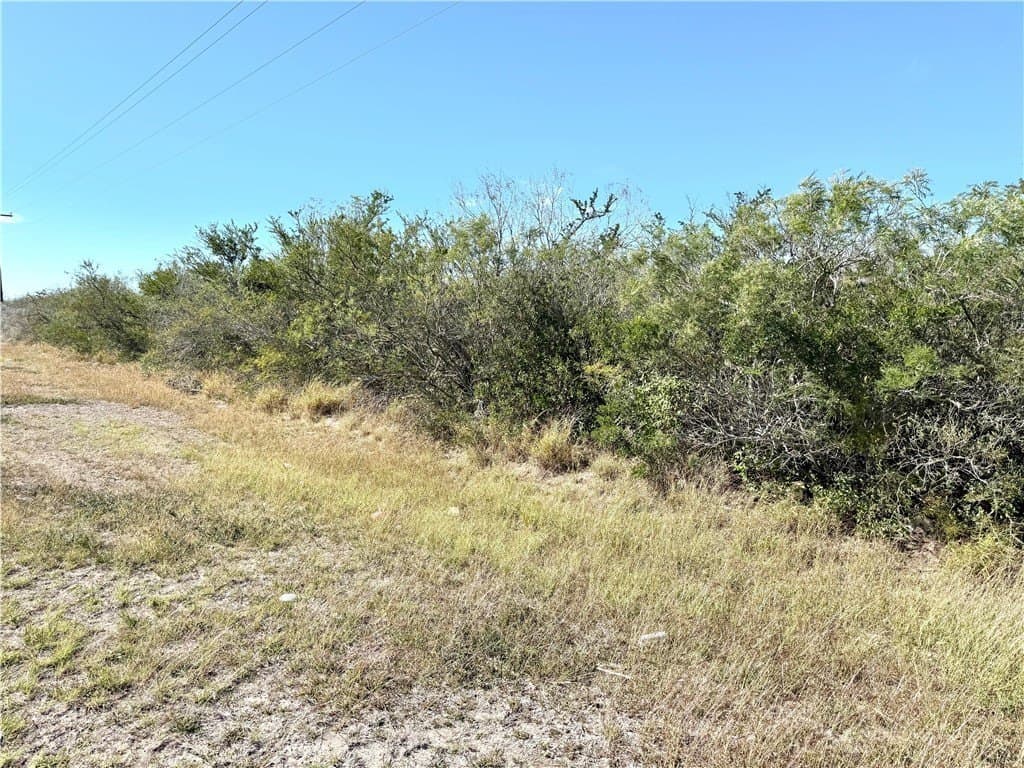 135.48 acres in Duval County - photo 4