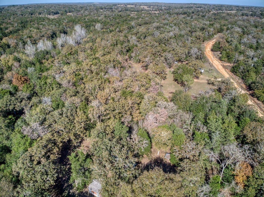 2.78 acres in Burleson County - photo 6