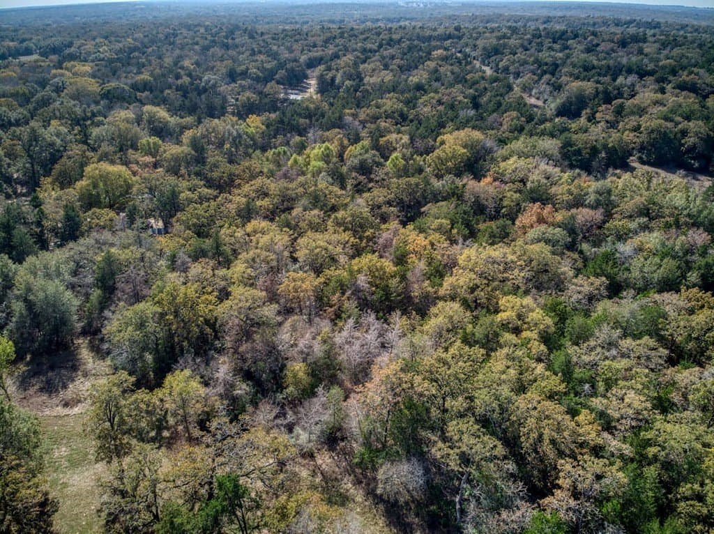 2.78 acres in Burleson County - photo 5