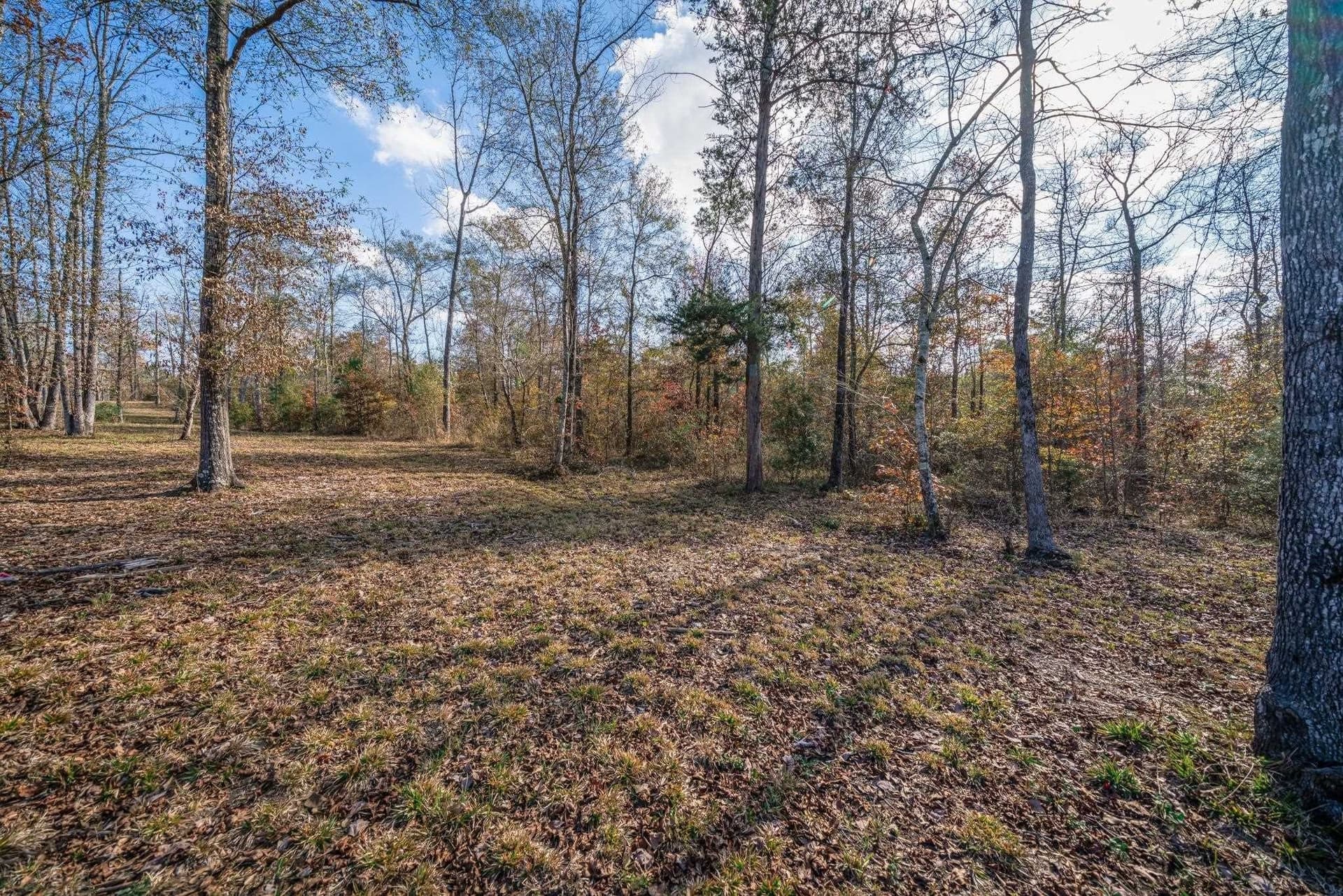 1.02 acres in Harrison County - photo 14