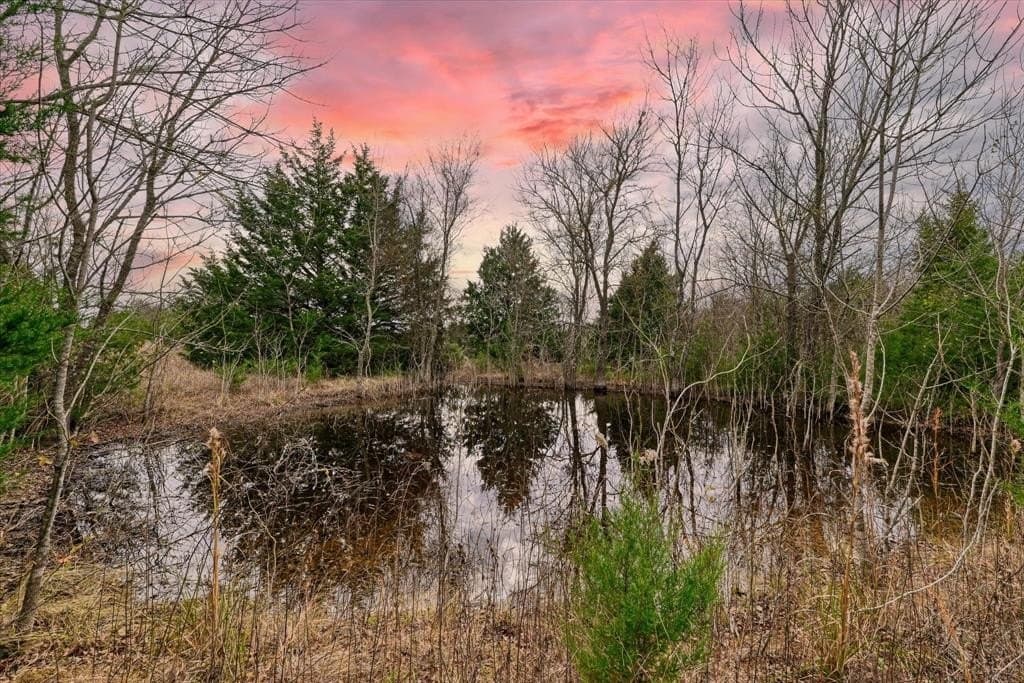 11.12 acres in Limestone County - photo 2