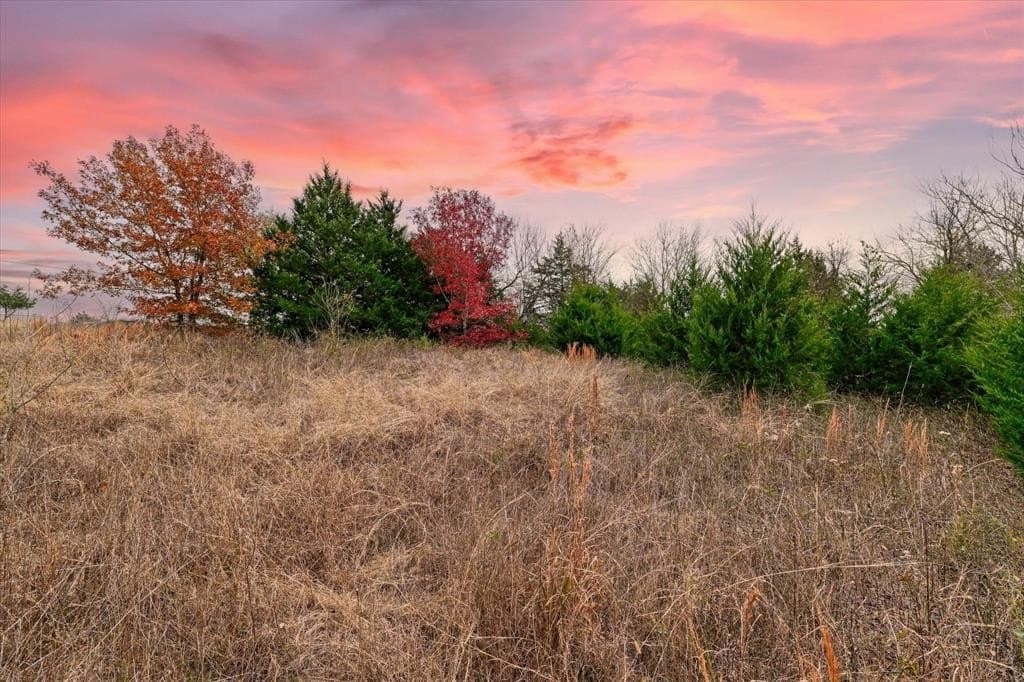 11.12 acres in Limestone County - photo 18