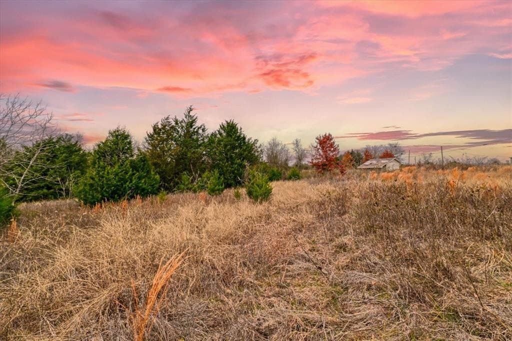 11.12 acres in Limestone County - photo 11