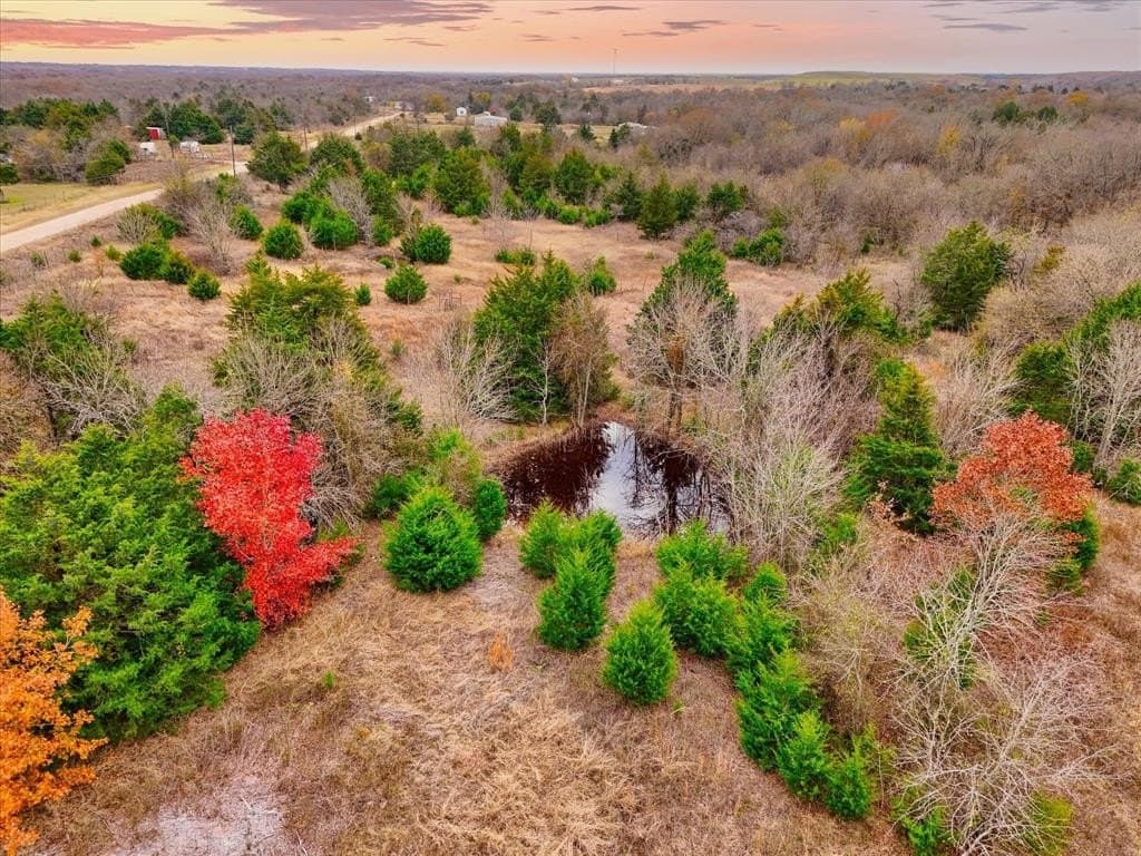 11.12 acres in Limestone County - photo 4