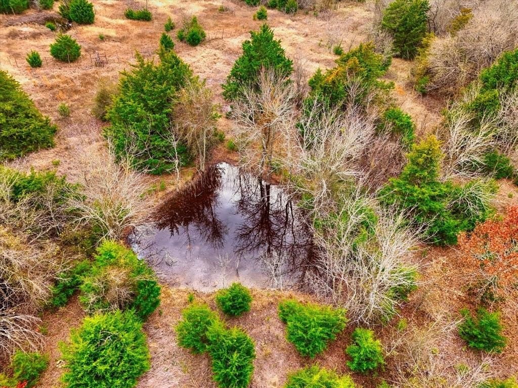 11.12 acres in Limestone County - photo 14