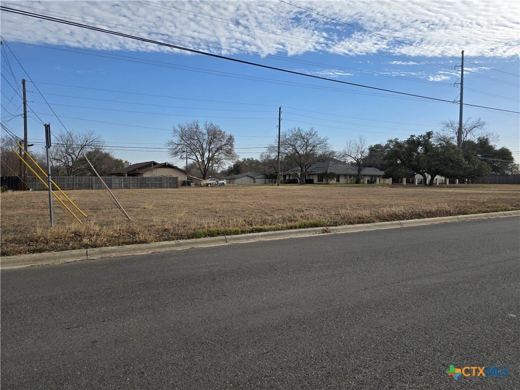 0.33 acres in Williamson County - photo 4