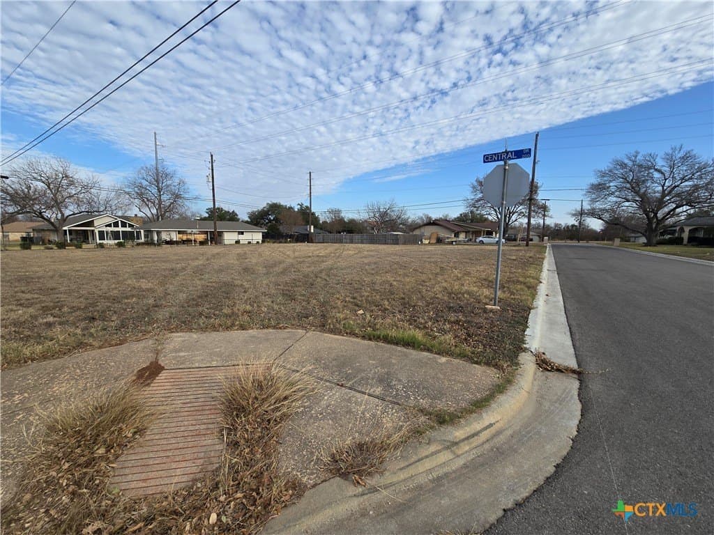 0.33 acres in Williamson County - photo 2