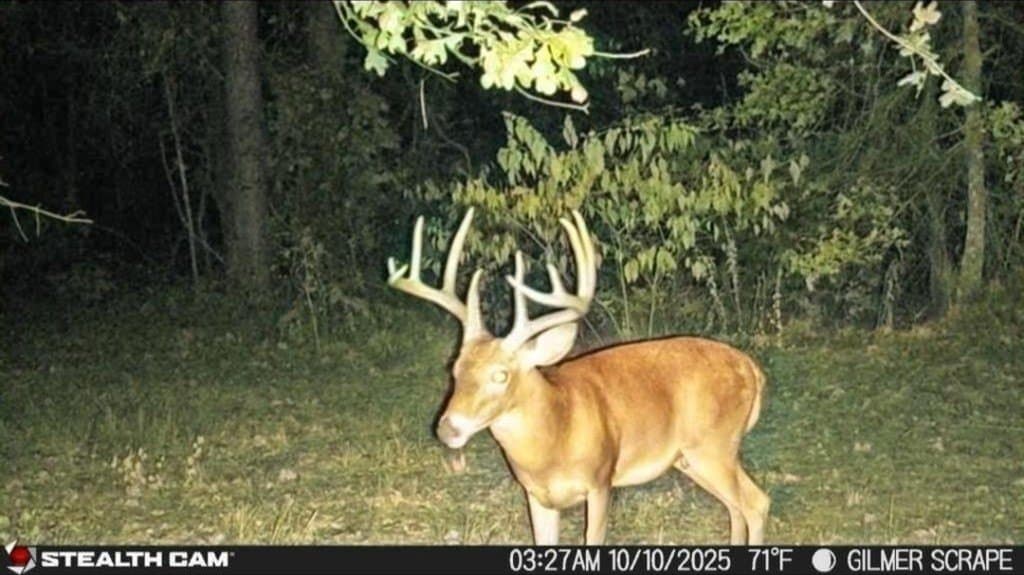 132.07 acres in Upshur County - photo 6